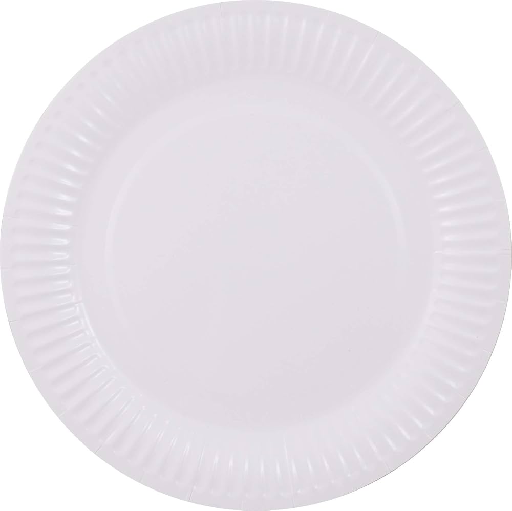 Assiette plate en carton 23 cm 500 pcs