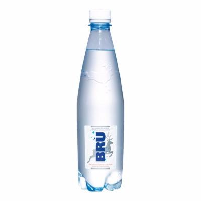 Eau gazeuse Bru 24 x 0,5 L