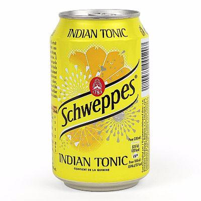 Schweppes Tonic en canette 24 x 33 cl