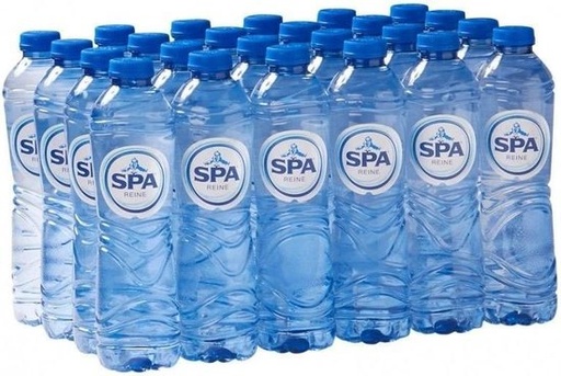 [CWPS001] Spa Reine plat water 24 x 0.5 L